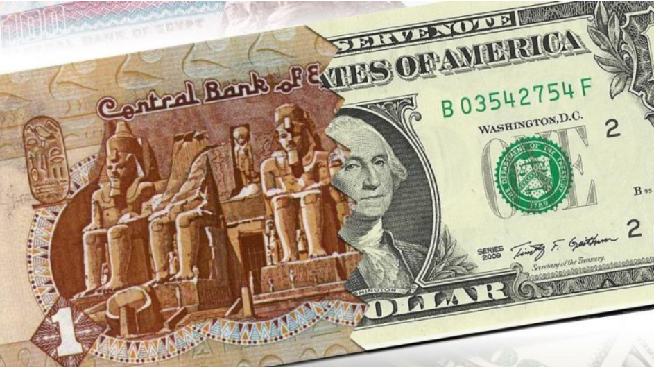 سعر الدولار اليوم في مصر تحديث يومي الأحد 24 يناير 2021 موقع نساعد